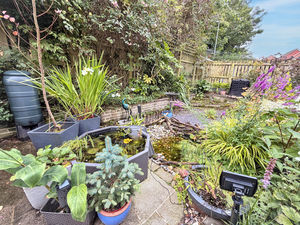 Photo 5- click for photo gallery